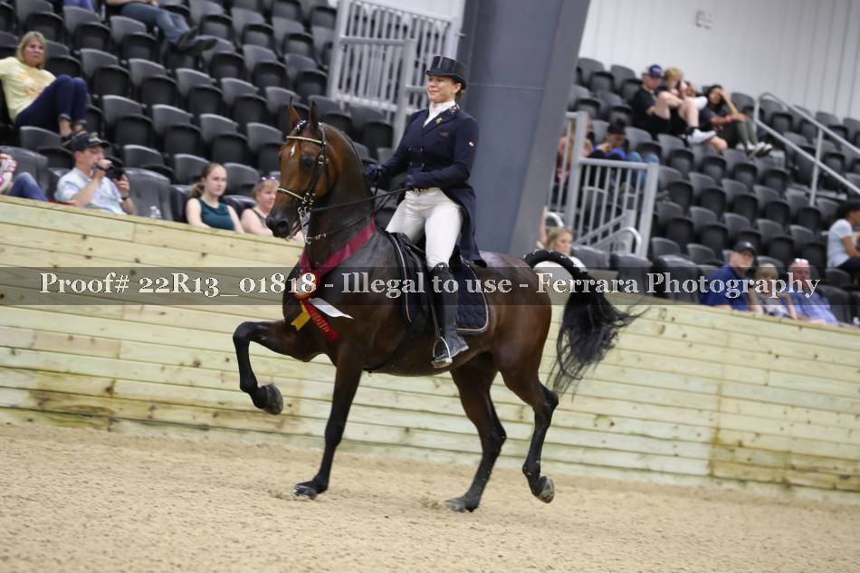 Proof 22R13_01818
