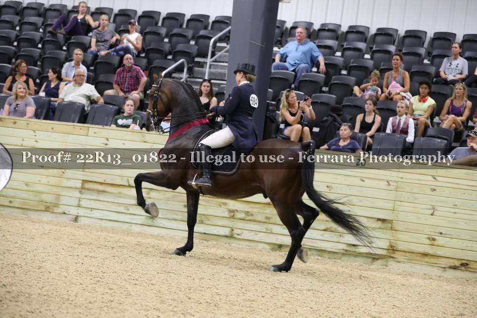 Proof 22R13_01822