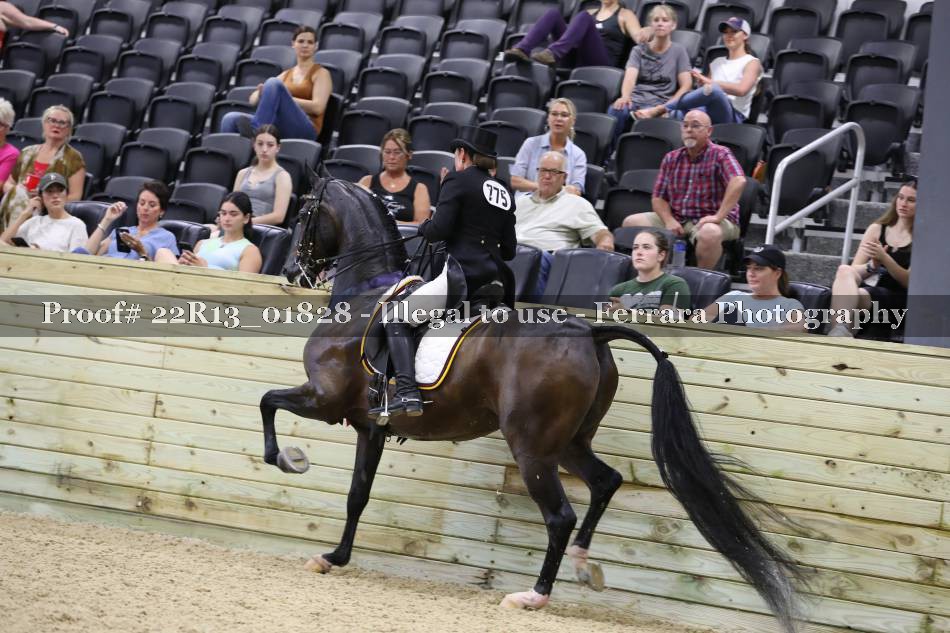 Proof 22R13_01828