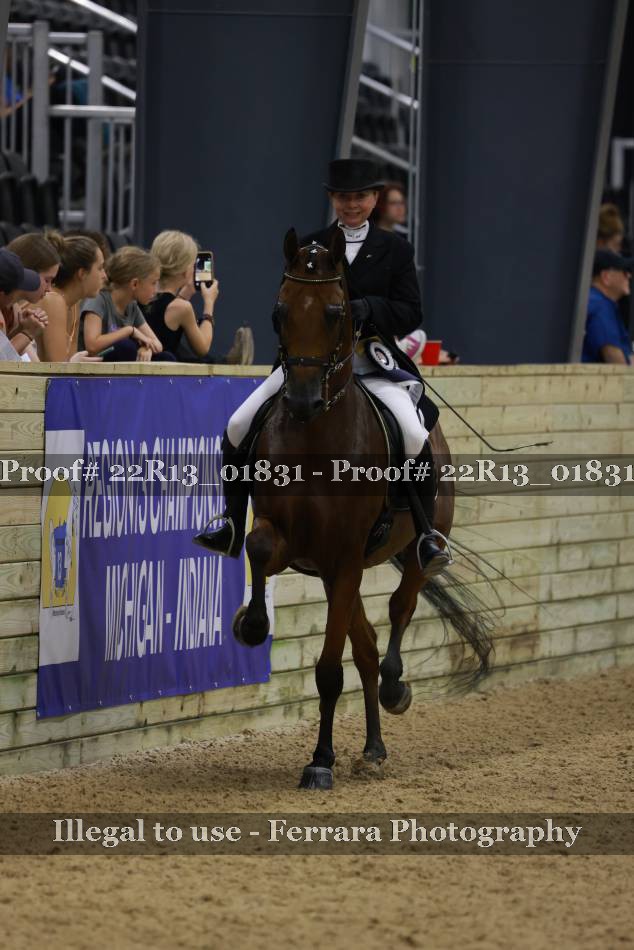 Proof 22R13_01831