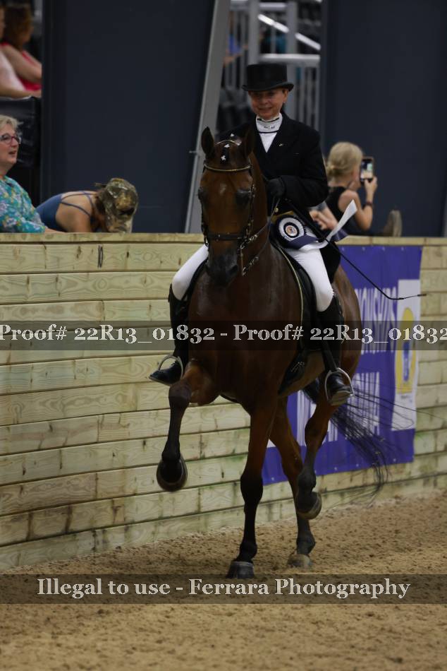 Proof 22R13_01832