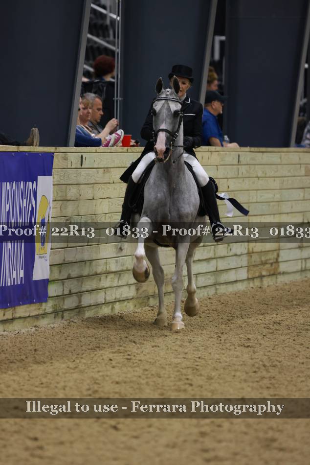 Proof 22R13_01833