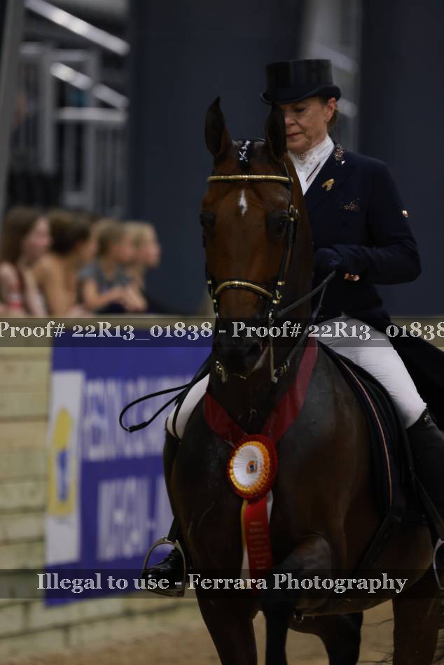 Proof 22R13_01838