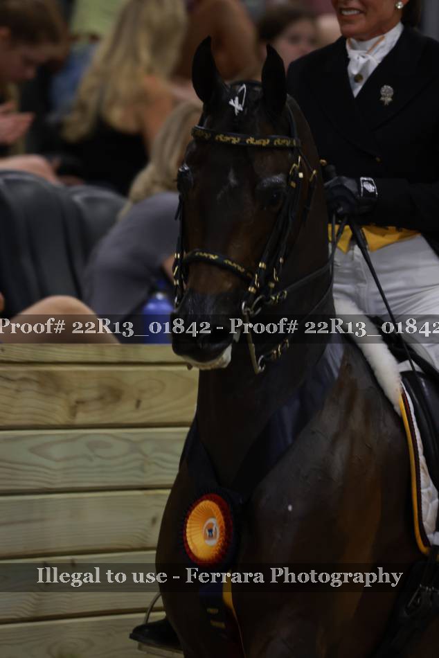 Proof 22R13_01842