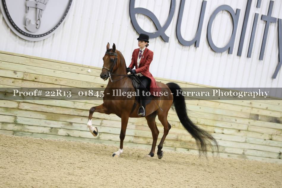 Proof 22R13_01845