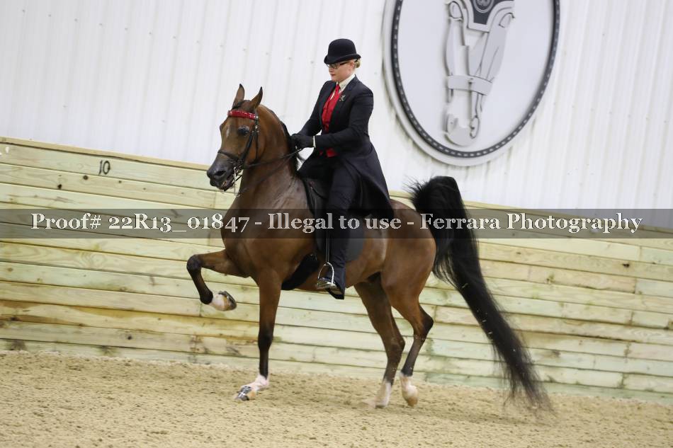 Proof 22R13_01847