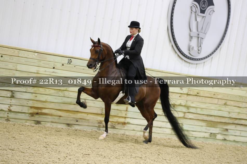 Proof 22R13_01849