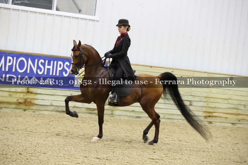 Proof 22R13_01852