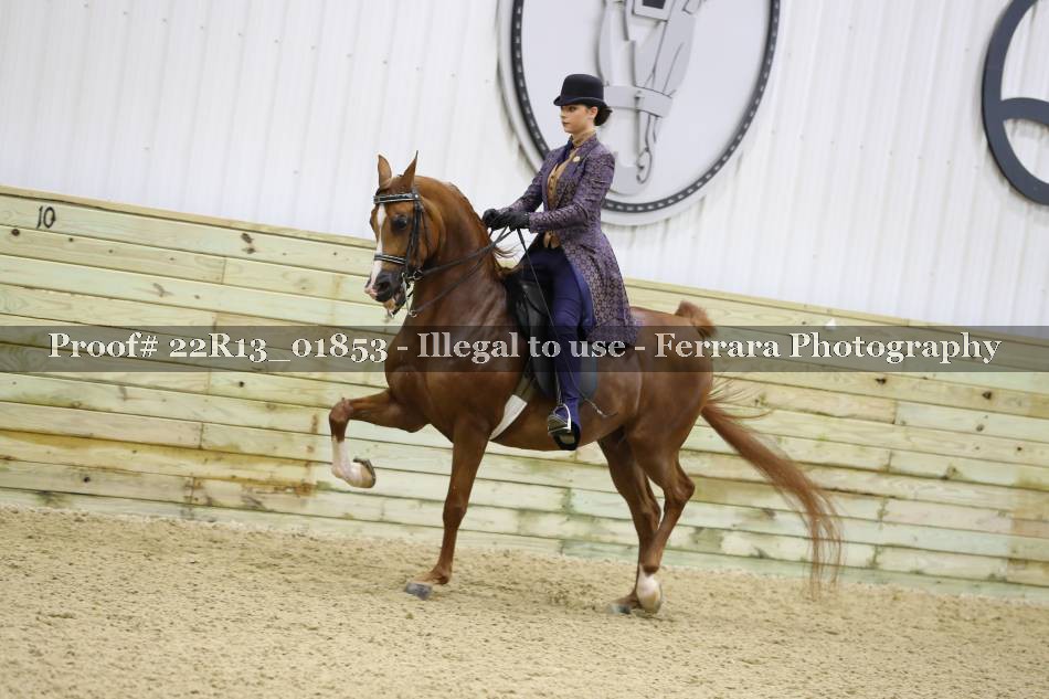 Proof 22R13_01853