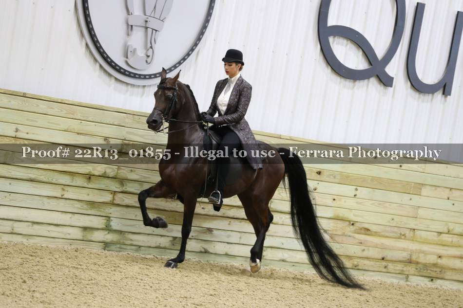 Proof 22R13_01855