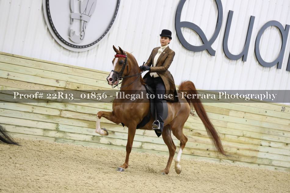 Proof 22R13_01856