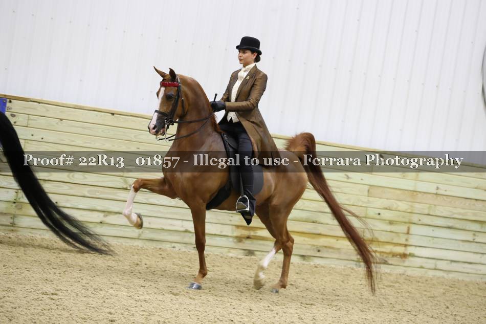 Proof 22R13_01857