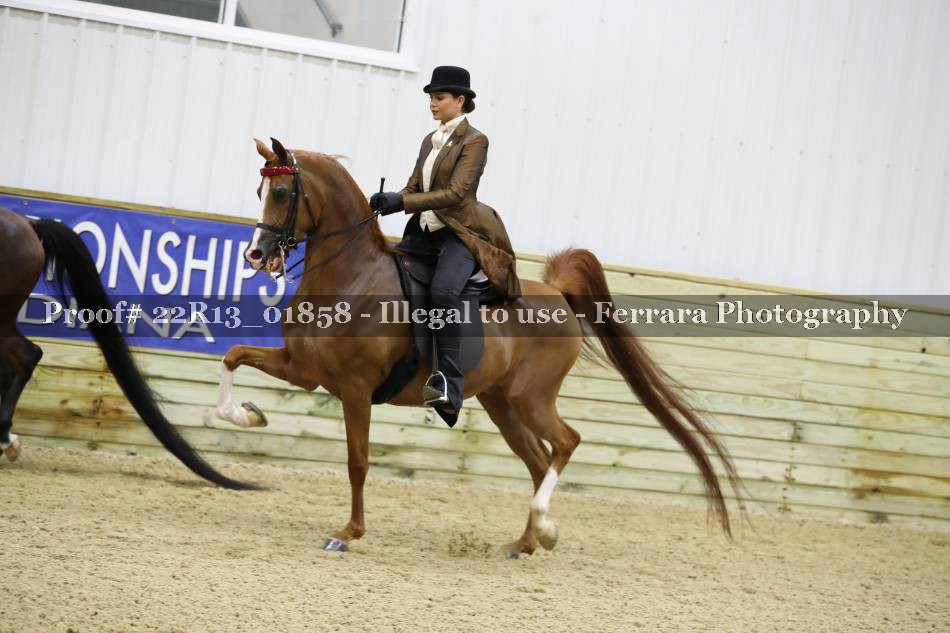 Proof 22R13_01858