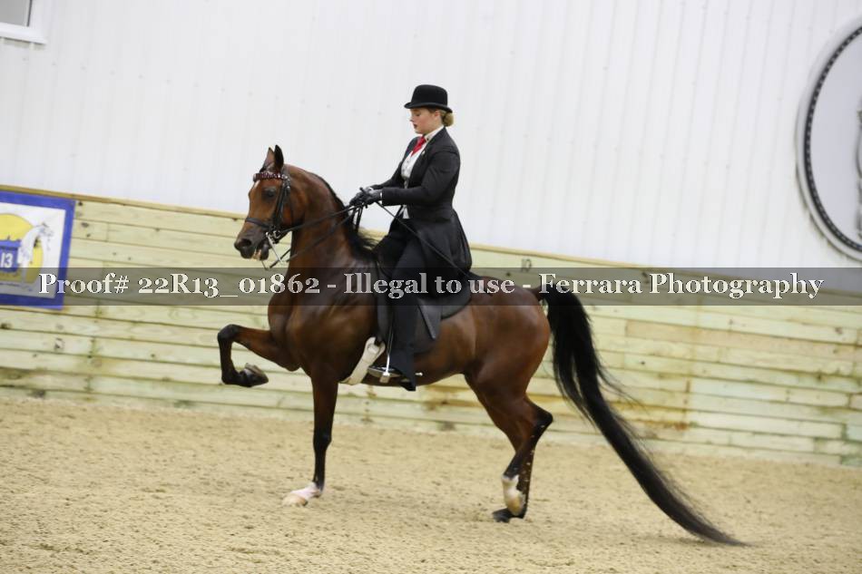 Proof 22R13_01862