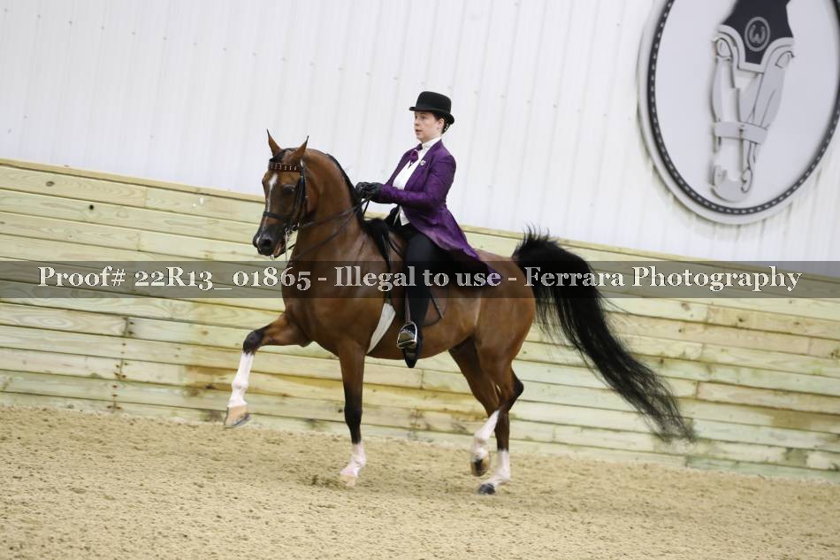 Proof 22R13_01865
