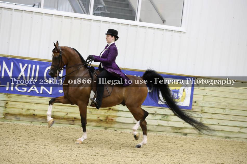 Proof 22R13_01866