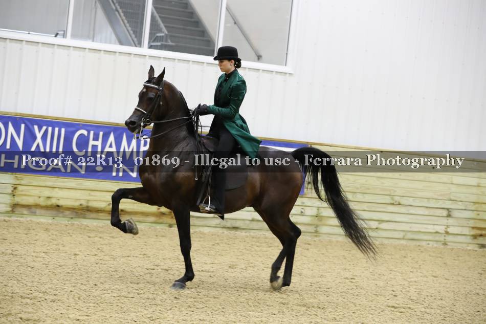 Proof 22R13_01869