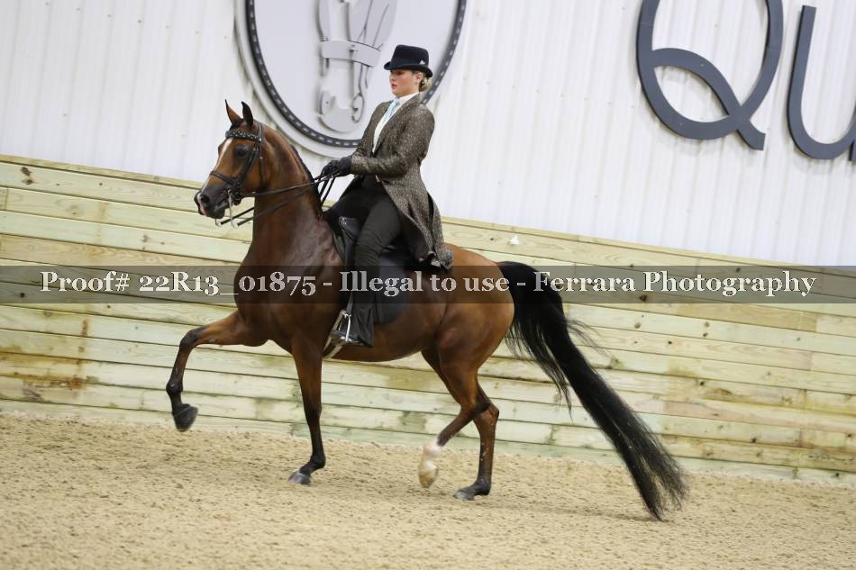 Proof 22R13_01875