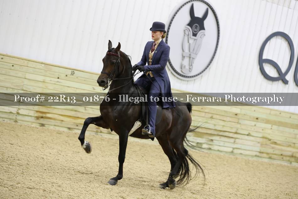Proof 22R13_01876