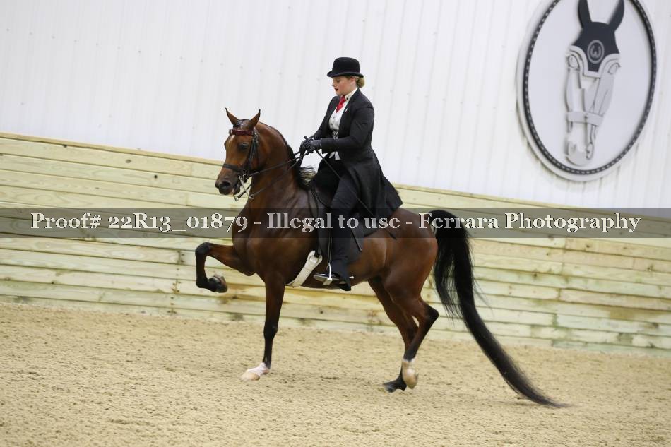 Proof 22R13_01879