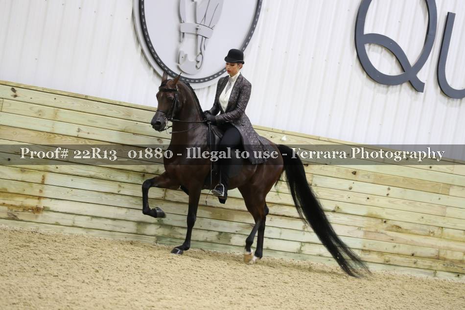 Proof 22R13_01880