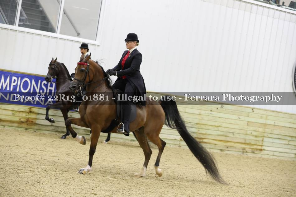 Proof 22R13_01881
