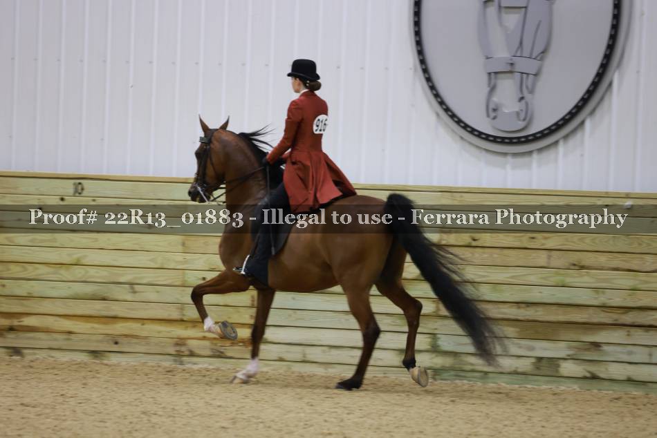 Proof 22R13_01883
