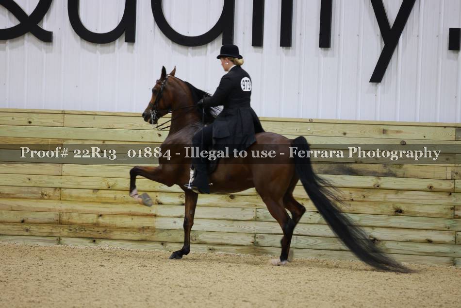 Proof 22R13_01884