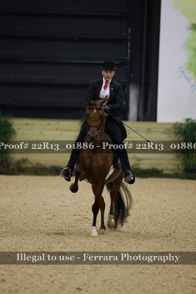 Proof 22R13_01886