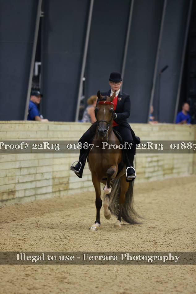 Proof 22R13_01887