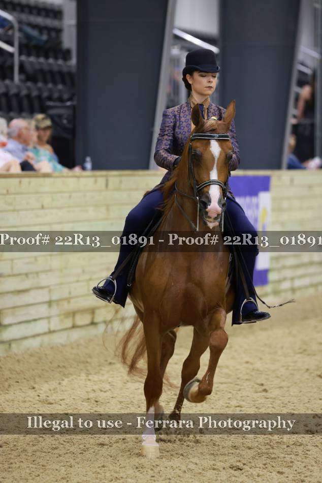 Proof 22R13_01891