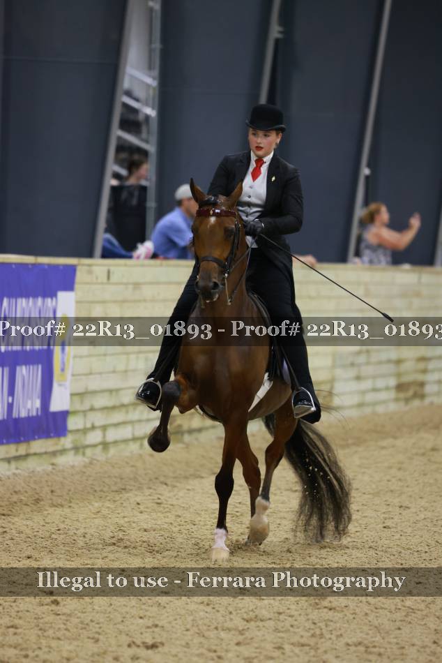 Proof 22R13_01893