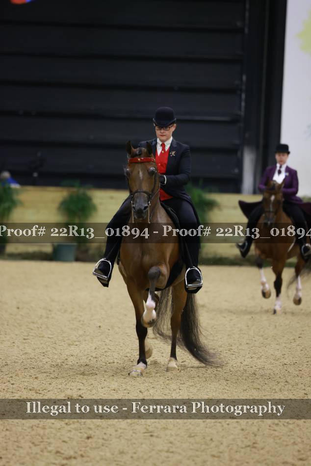 Proof 22R13_01894