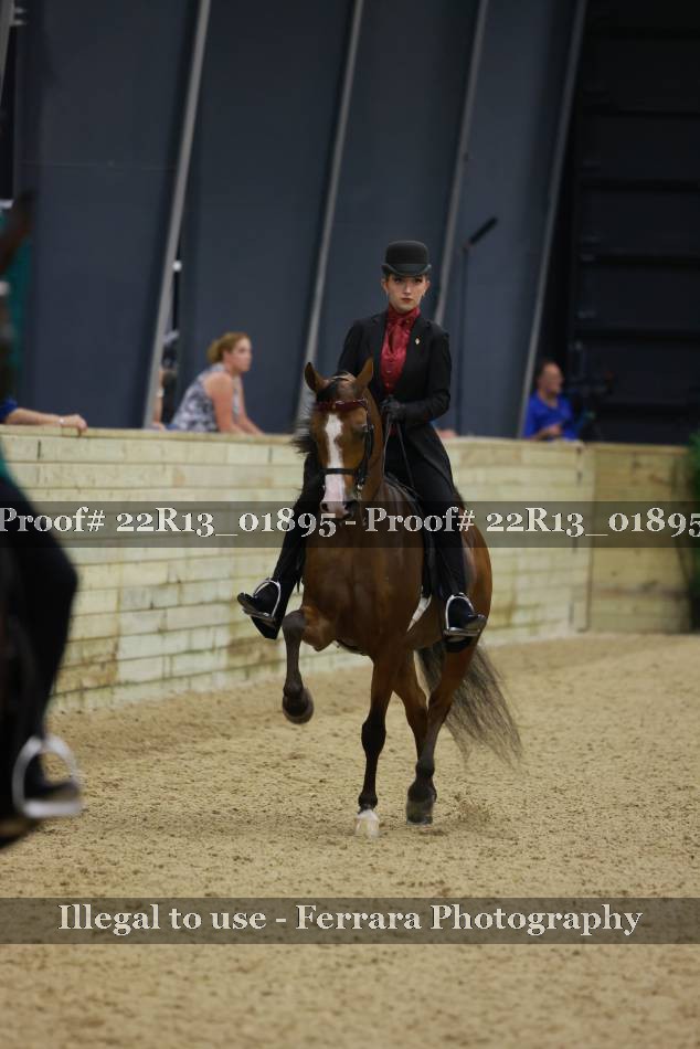 Proof 22R13_01895