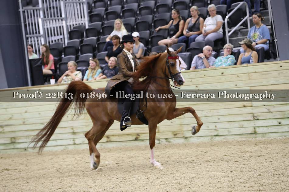 Proof 22R13_01896