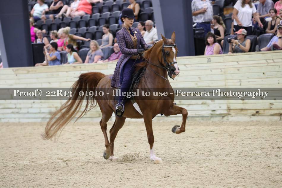 Proof 22R13_01910