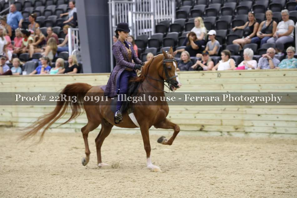 Proof 22R13_01911