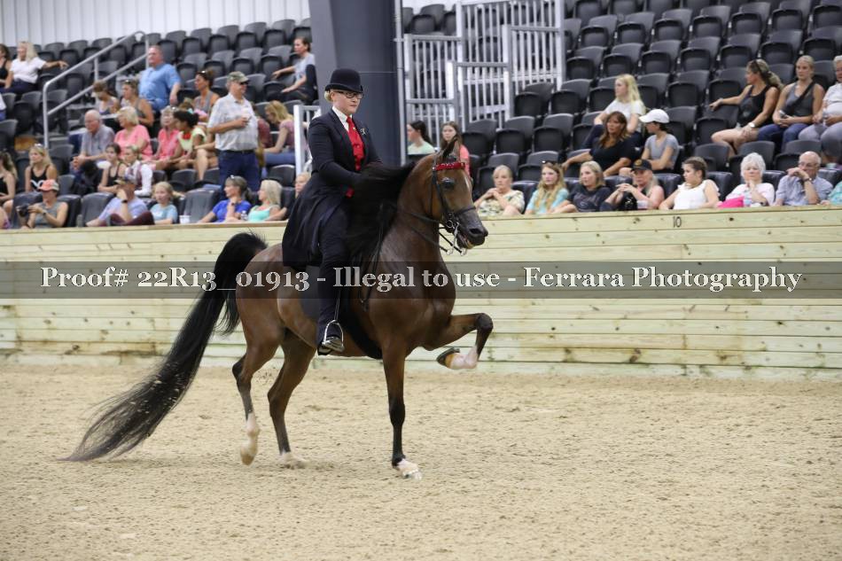Proof 22R13_01913