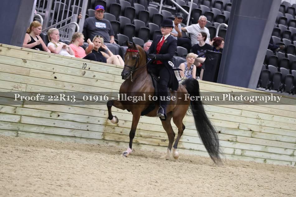 Proof 22R13_01916
