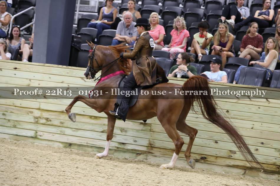 Proof 22R13_01931