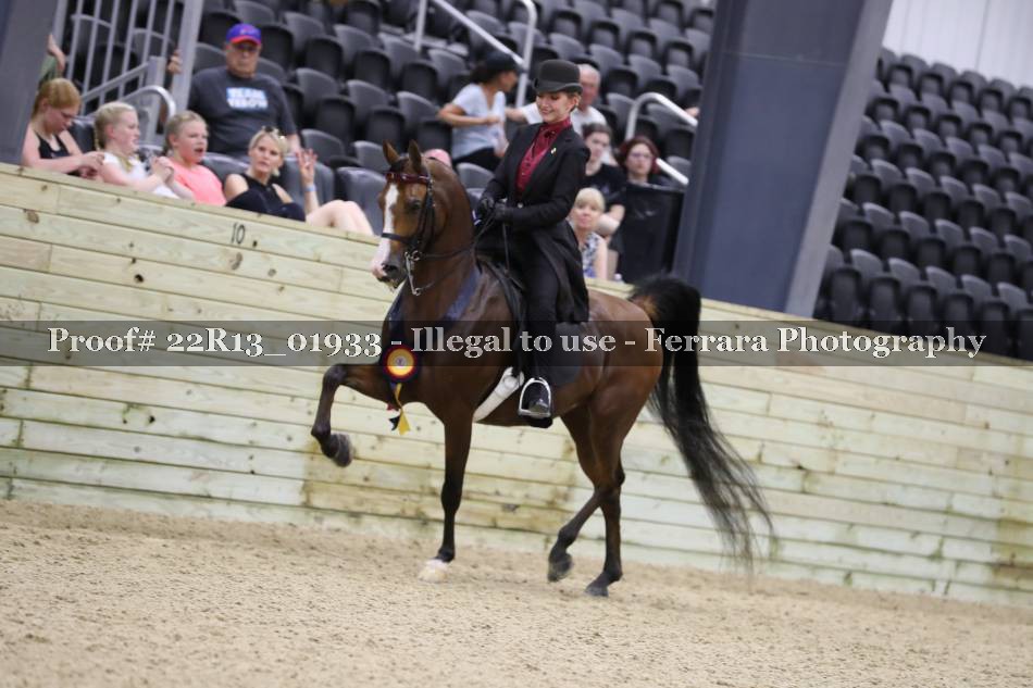Proof 22R13_01933
