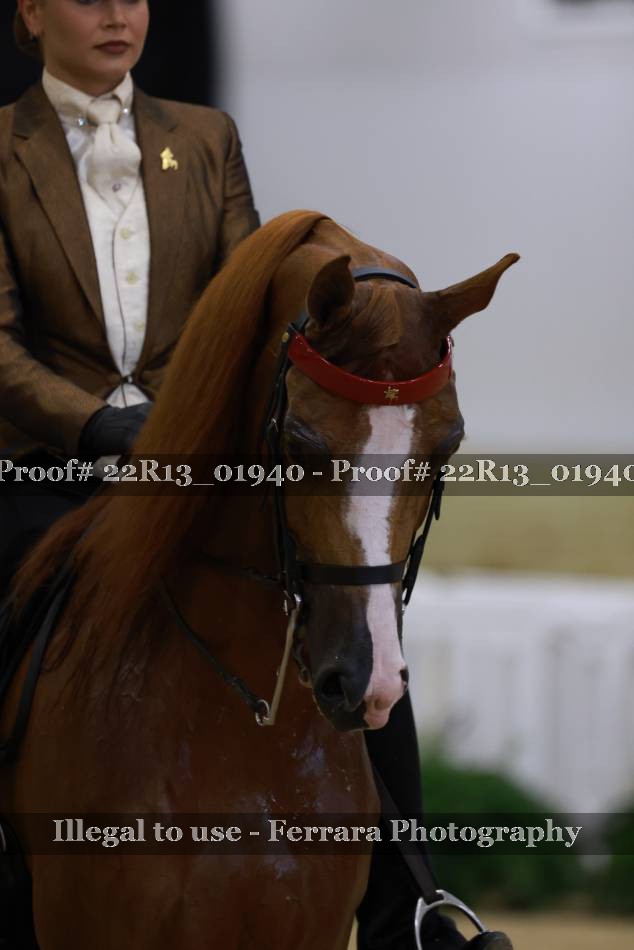 Proof 22R13_01940