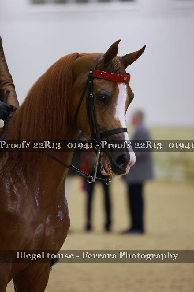 Proof 22R13_01941
