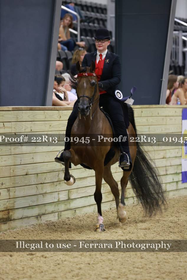 Proof 22R13_01945