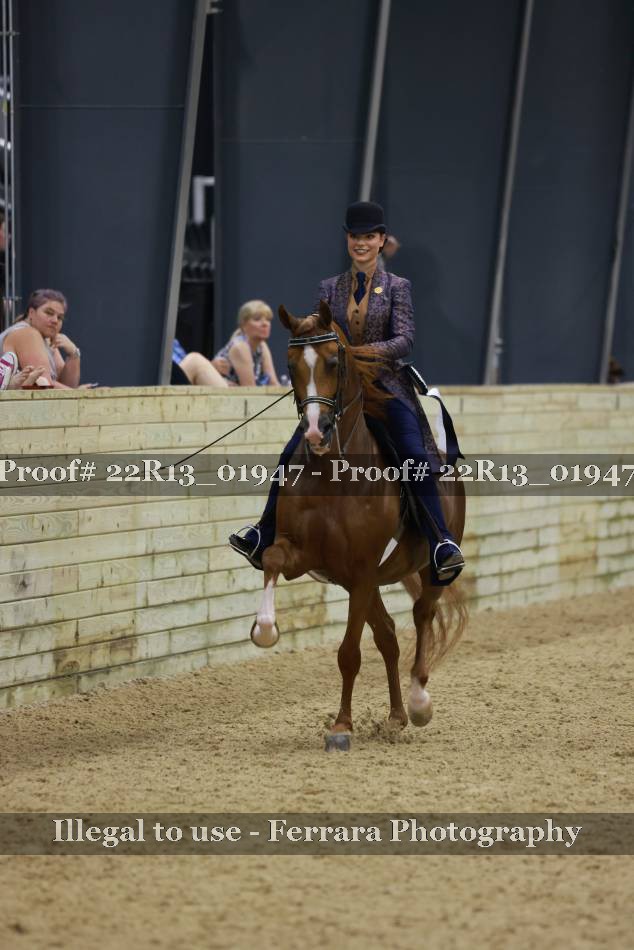 Proof 22R13_01947