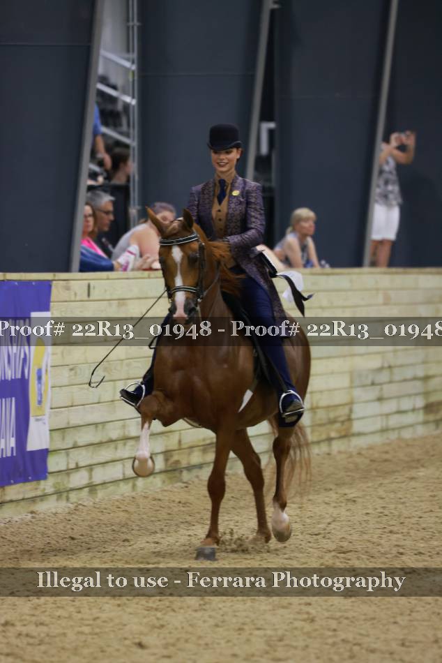 Proof 22R13_01948