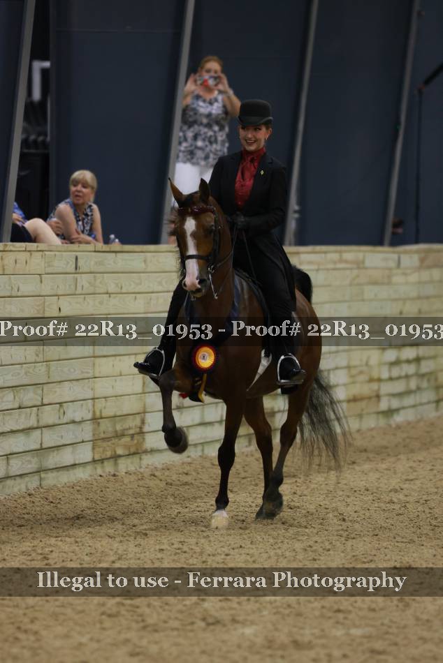 Proof 22R13_01953