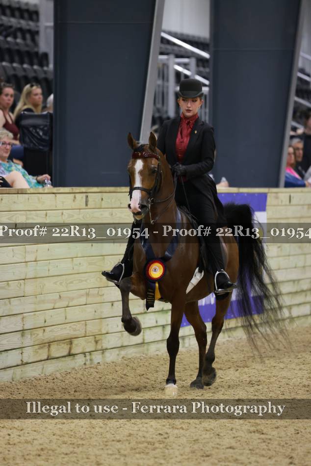 Proof 22R13_01954