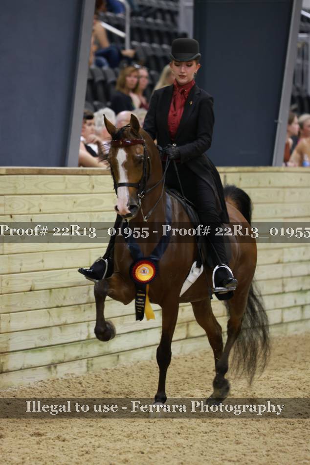 Proof 22R13_01955