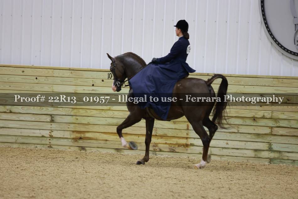 Proof 22R13_01957